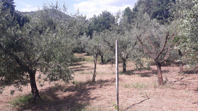 Terreno agricolo in vendita a Montecelio, Guidonia Montecelio (RM)