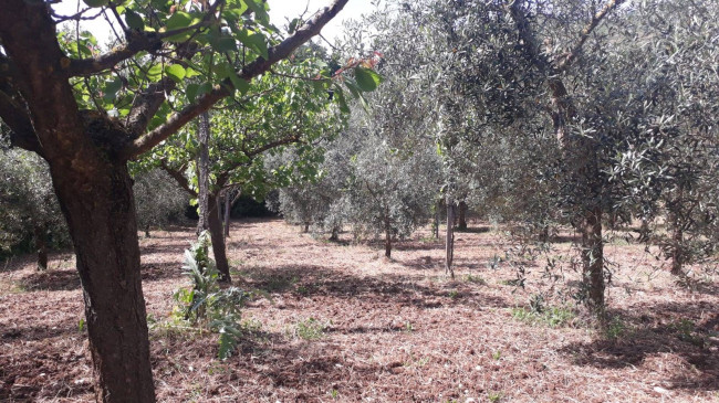 Terreno agricolo in vendita a Montecelio, Guidonia Montecelio (RM)