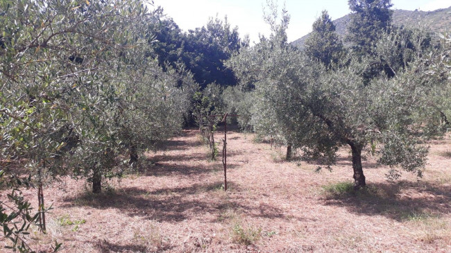 Terreno agricolo in vendita a Montecelio, Guidonia Montecelio (RM)