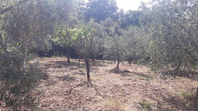 Terreno agricolo in vendita a Montecelio, Guidonia Montecelio (RM)