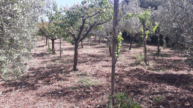 Terreno agricolo in vendita a Montecelio, Guidonia Montecelio (RM)